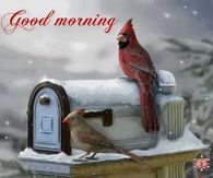 Good Morning Have a Nice Day