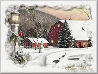 Winter on the Farm