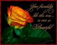 Your friendship like this rose is ever so beautiful