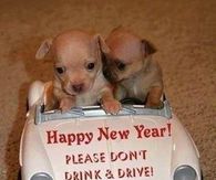 Happy New Year Don't Drink and Drive