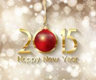 2015 Happy New Year