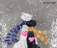Snow Cats