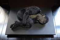 Lucy Glendinning . Feather Child