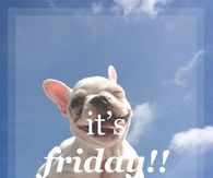 It's Friday