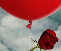 Close but not too close