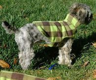 DIY Dog Shirt