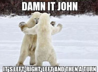 Polar Dance