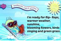 Ready for summer