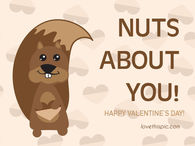 Nuts about you 
