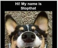 Stopthat