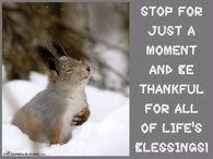 Life's Blessings