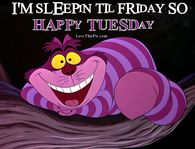I'm Sleeping Til Friday Happy Tuesday
