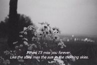 I think I'll miss you forever