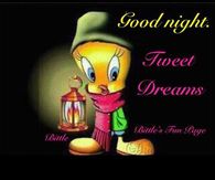 Goodnight Tweety Bird