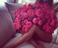 pinkFlower