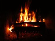 Warmth