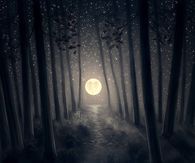 Moon & Woods
