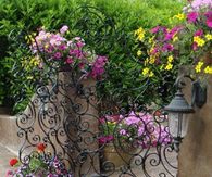 Wrought Iron Gate with Swirls