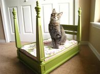 4 Poster Bed for your Cat of Royalty