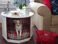 End-table Repurposed a Doggy House for Small Doggy