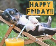 Happy Friday