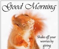 Good Morning
