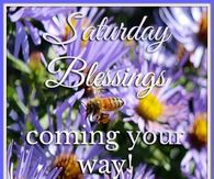 Saturday Blessings