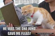 LOL!