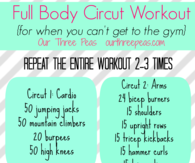 Full Body Circut Workout