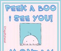 Peek a Boo I see You Monday!