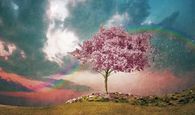 rainbow