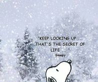 Kep looking up