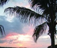Hammock Under The Sunset