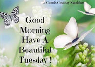 Good Morning Happy Tuesday