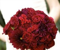 Red Roses Bouquet