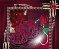 Roses & Pearls