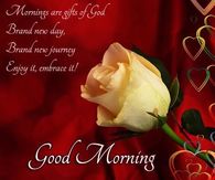 Mornings are gifts of God....Good Morning