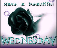 Have a Beautiful Wednesday