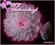 Happy Wednesday