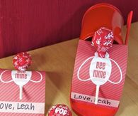 Bee Mine Valentines Day Gift