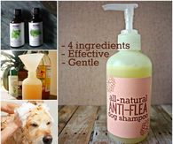 How to make natural anti flea dog shampoo