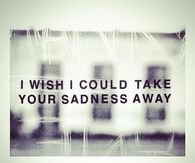 I wish i could take your sadness away