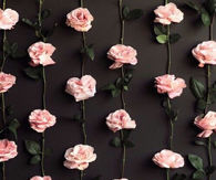 Pink Rose pattern