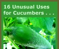 16 unusual uses for cucumbers