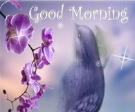 Good Morning Bless Your Day