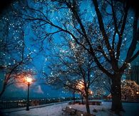 Beautiful Winter Night