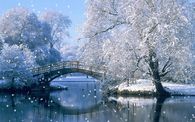 Snowing  Winter Bridge