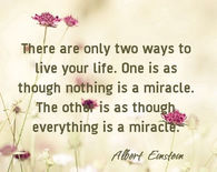 Two Ways To Live Your Life