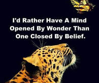 a mind opened by wonder