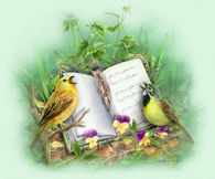 Birds singing